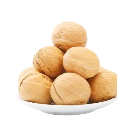 China Common Cultivation Type Walnut Papery Shell for Frequently Asked Questions à venda