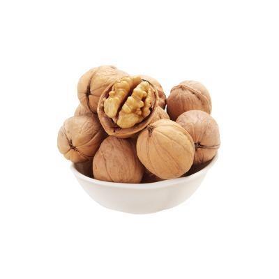 China Wholesale XinJiang Walnuts Are Exported To Southeast Asia 185 best-selling plump walnut kernels for sale