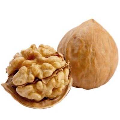 China Wholesale Xinjiang 185 paper walnuts/33 walnuts/xin2 walnuts/xingfu walnuts with cheap price for sale