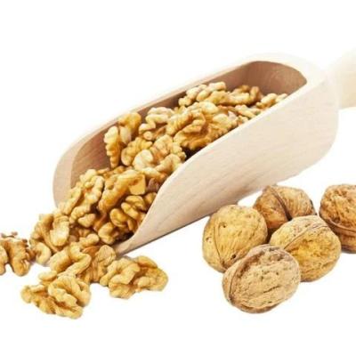 China China Bulk New Crop Hot Sale In Turkey Wal2023 China Bulk New Crop Hot Sale In Turkey Walnuts Kernel Halves Pricenuts Kernel Halves ELH Low Price for sale