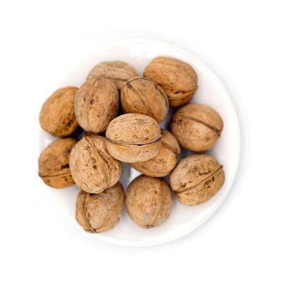 China Amazon hot sale New Crop Chinese 33/185/xin2/xingfu edible nuts of walnuts with good quality for sale