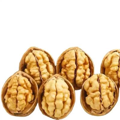 China Amazon hot sale Factory direct sales 185/33/xin2/xingfu walnut and walnut kernels with best quality for sale