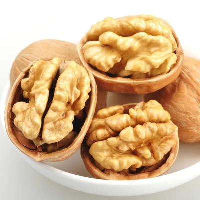 China Amazon’s best-selling products Premium Walnut Kernel Fresh Raw Shelled Walnut Halves And Pieces hot sale on Amazon for sale