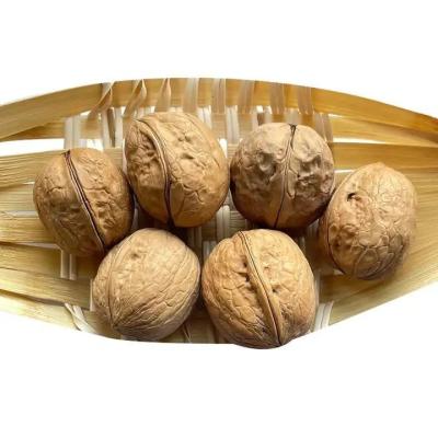 China Desde Xinjiang China nueces chinas 185 nueces en cáscara nueces para la venta a bajo precio en venta