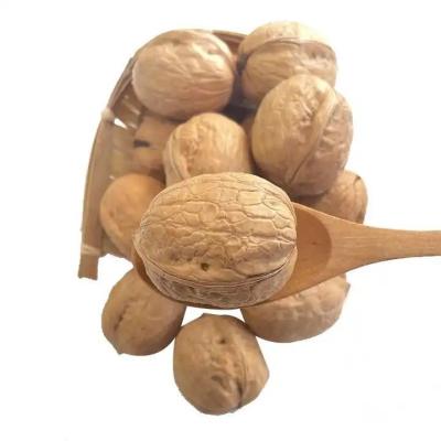 Κίνα Φρέσκο Ακατέργαστο Xinjiang 185 Walnut Light Amber Color In Shell Wholesale Price For Sale Amazon's best selling προϊόντα προς πώληση