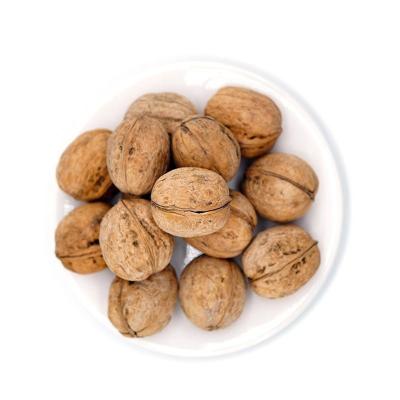 China Hot sale in Amazon cheap price thin skin 185 walnuts from Chinese factories for sale