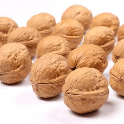 China 2% Max Broken Content Walnut Nut for Products à venda