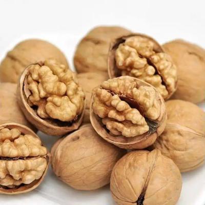 China Walnut Halves and Pieces Grown Walnuts Naturally Gluten Free No Preservatives Non-GMO Paper shell walnut 185 for sale