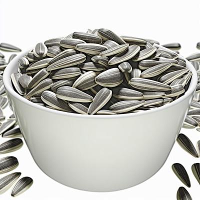 China Sunflower Seeds T5 The Best Choice for Your Business en venta