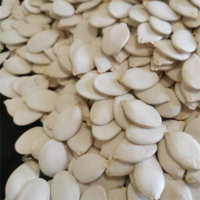 China Moisture 7%max Top Grade Snow White Pumpkin Heads for Your Requirements for sale