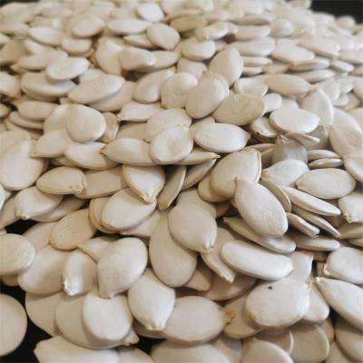 Cina Organic White Snow Pumpkin Seeds Moisture 7%max Guaranteed in vendita