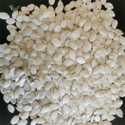 China Discover the Deliciousness of Fried Snow White Pumpkin Seed for sale