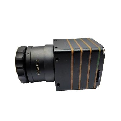 China Night Vision Thermal Imaging Camera Covid 17um Module Dianyang Infrared Camera Module for sale