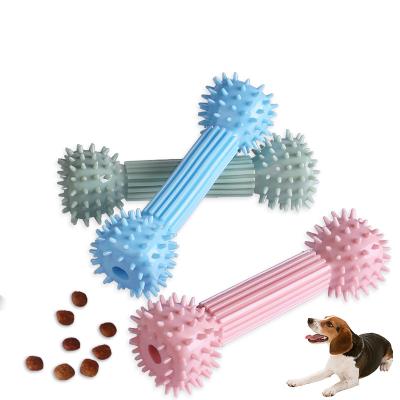 China Viable Tpr Dumbbell Teeth Cleaning Toothbrush Pet Toy Dog Gnawing Tooth Cleaning Molar Stick Bite Dog Toothbrush for sale