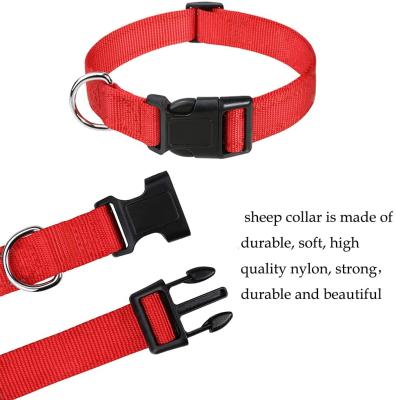 China Personalized Ready To Ship Custom Made Safety Waterproof Cat Dog Supplies Pet Collars Portable Solid Color Nylon for sale