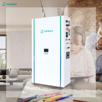 China Terli Home Energy Storage System Powered Battery Inverter LiFePO4 Battery Hybrid Inverter All in One for sale