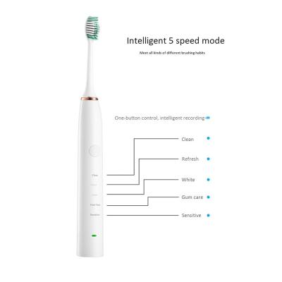 China Custom OEM Label 5 Model 2000mah Rechargeable Battery Automatic Sonic Electric Toothbrush for sale