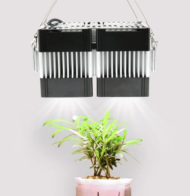 China BLOOM 2021 New Lighting Solution LED Grow Light COB Full Spectrum Lighting Suitable For Indoor Greenhouse Grow Box Plants Growing for sale