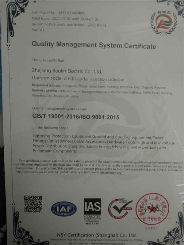 ISO9001 - Zhejiang Baolin Electric Co., Ltd.