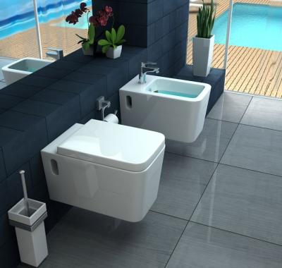 China Matte Gray Wall Mounted Toilet Cement PATE Cistern Hidden Rimless Cement Wall Hung Toilet India for sale