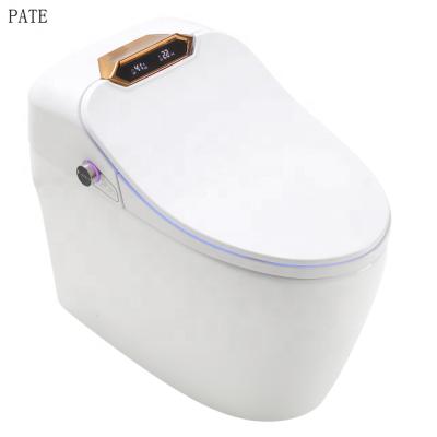 China Smart Bathroom PATE Automatic Operation Ceramic Floor Position Automatic Intelligent Toilet Toilet for sale