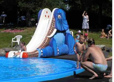 China Cartoon Water Park Entertainment Fiberglass Water Slide for Kids / Children for sale