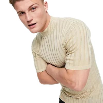 China Plain Plain Dyed Slim Fit Ribbed T Shirts Men's Anti-Pilling High Quality White T-Shirt Men's T-Shirts for sale