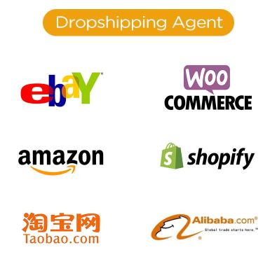 China Shopify Dropshipping Sourcing Company Shopping Site WL-002 for sale