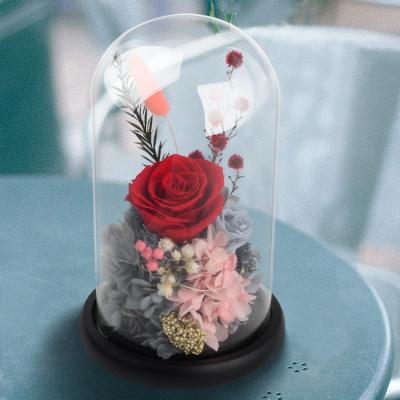 China Immortal Light Rose Glass Dome Rose String Light LED Rose Flower Immortal Flower Glass Dome Agriculture for sale