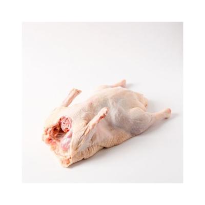 China NATURE Good Quality Whole Duck Without Head Frozen Neck for sale
