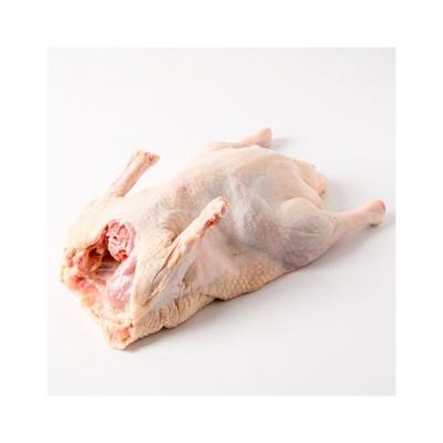 China NATURE New Product Chinese Frozen Roast Duck Raw Material Whole Duck for sale
