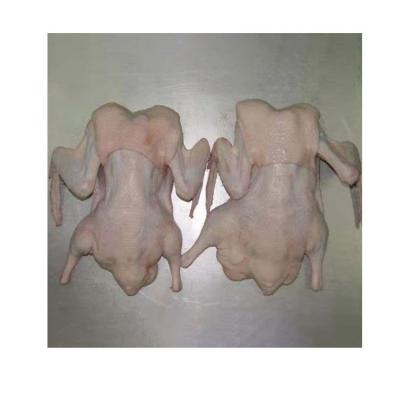 China NATURE Good Quality Frozen Easy to Make Beijing Duck Whole Duck Meat for sale