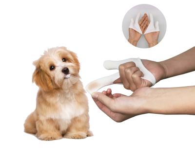 China Factory wholesale high quality cat and dog fingers both pamper finger cotsTeeth brush pet finger toothbrush for sale