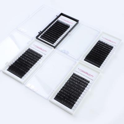 China Natural Individual Synthetic Korean Pbt Silk Eyelash Extension 16 Lines Easy Volume Fans Eyelash Extension for sale