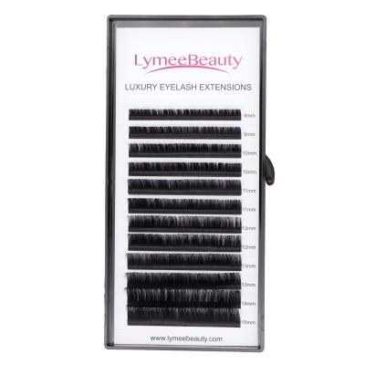 China Natural Premium Pbt Material Private Label Eyelash Extension Korean Individual Classic Eyelash Extension for sale