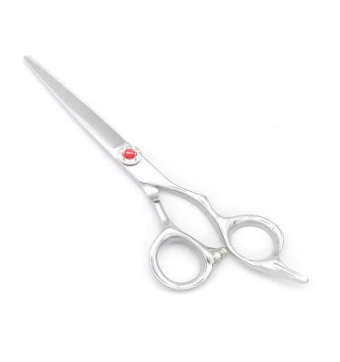 China 5.5 Inch Right Handed Hair Scissors Cutting Scissors Wholesale Hair Scissors for sale