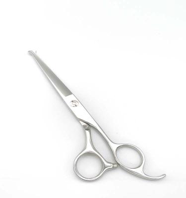 China Right Handed Salon Scissors Professional Hair Scissors Beauty Scissors Fine Scissors for sale