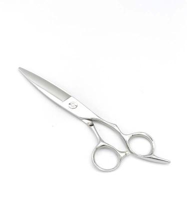 China Right Handed 5.5 Inch Japan 440c Steel Hair Scissors Cutting Scissors Professional Scissors For Hairdresser Super Sharp for sale