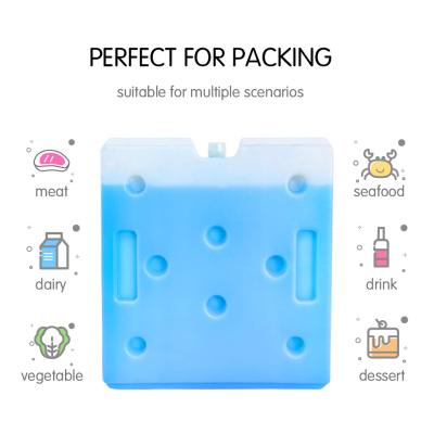 China Reusable Leak Proof Ice Pack Cooler Gel Pack With Capacity 300ml for sale