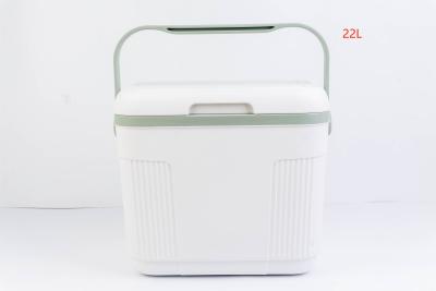 China 22L IJskast Plastic IJskast Te koop