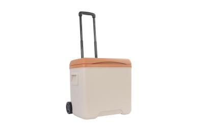 China Vissen BBQ Ice Cooler Box PU schuim isolatie voor kamperen Te koop