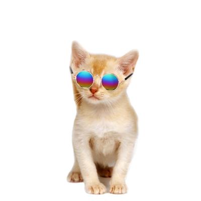 China Hot Sale Classic Retro Fashion Sunglasses Round Metal Pet Sunglass For Cat Dog Puppy for sale