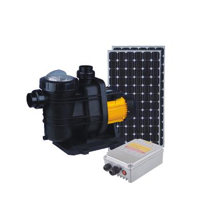 China Swimming Pool Pump Solar Pool Circulating Solar Water Pump With Solar Panels for sale