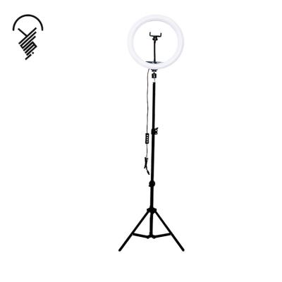 China Factory Price 12 Inch Beauty Fill Light LED Luxury Top Dimmable Ring Light With Makeup Live Video Support for sale