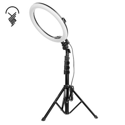 China 2020 hot sale led photographic lighting 10 inch 12 inch white led ring fill light for video shooting 10inch for sale