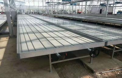 China Hydroponic het zaadbed kweekt Dienbladen Aquaponics die kweekt Bed 3ft 4ft 5ft drijven Te koop