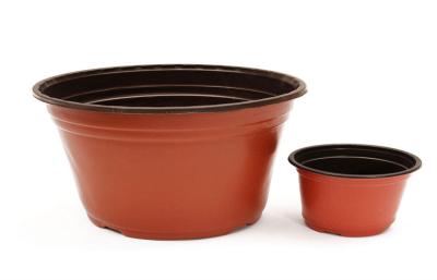 China Flower Square Plastic Plant Pots for sale