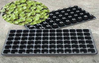 China 21 To 225 Cells Plastic Seed Starting Trays Plant Growing Rice Tray for sale