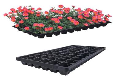 China Germination Flower Farm Garden Seed Planter Tray 72 Cells for sale