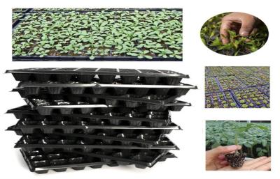 China Seed Sprouting Plastic Germination Trays 144 Cell Nursery Plant for sale